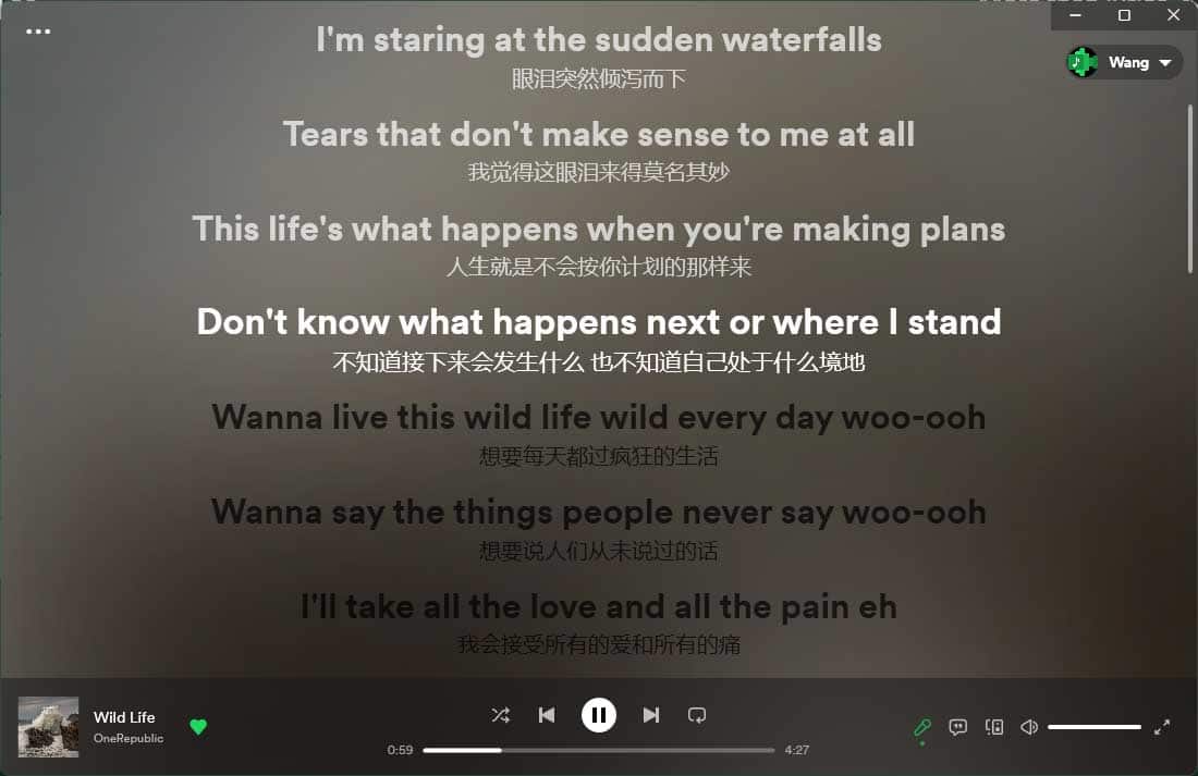 Lyricify App-提供Apple Music Spotify滚动歌词工具