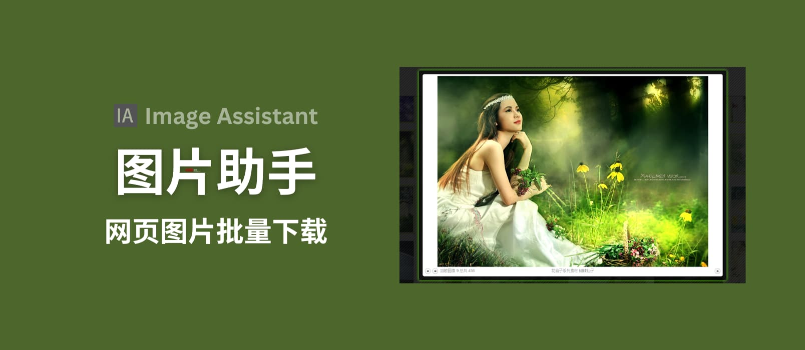 图片助手 ImageAssistant – 批量看图/下图工具：这样看小姐姐图片，太方便了吧