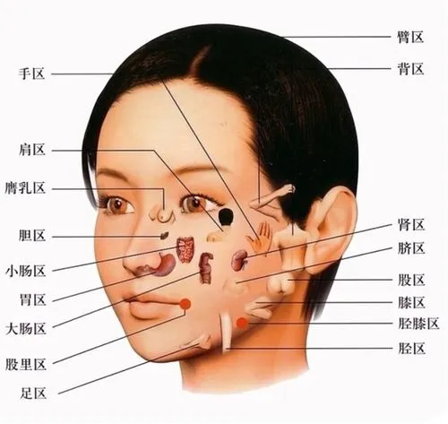 王涛面诊基础望诊色诊眼诊望眉六经面诊自学教程高清